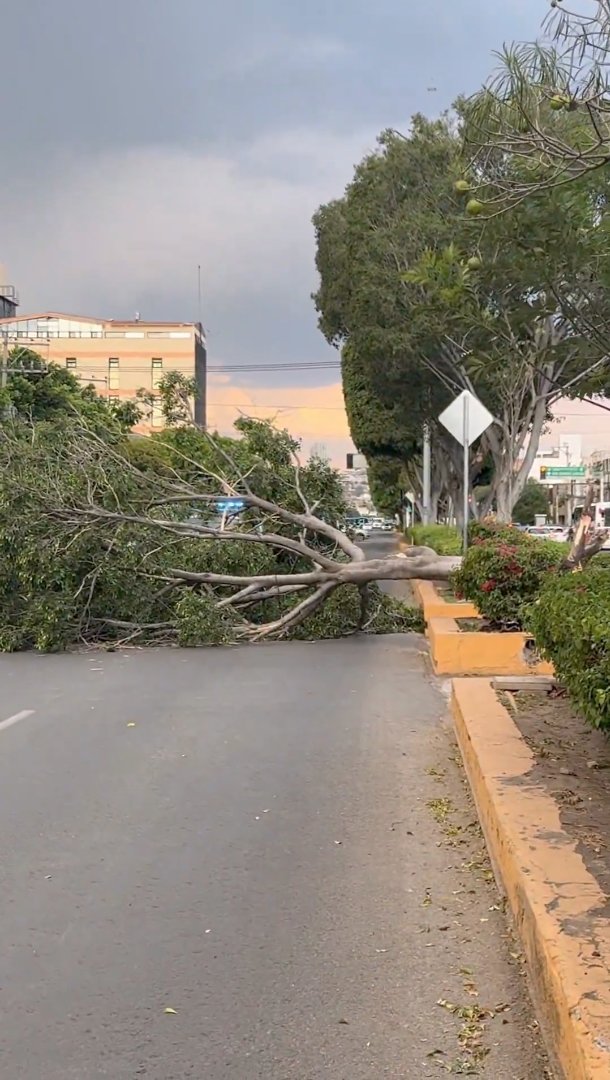 PoderCiudadanoRadio tweet media