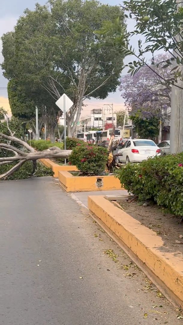 PoderCiudadanoRadio tweet media