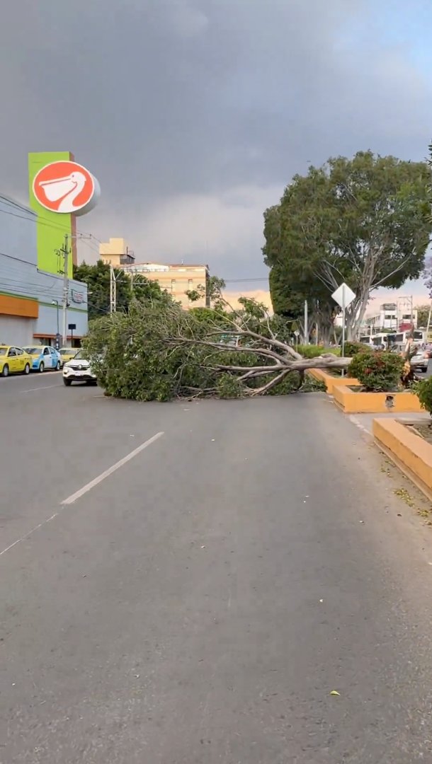 PoderCiudadanoRadio tweet media
