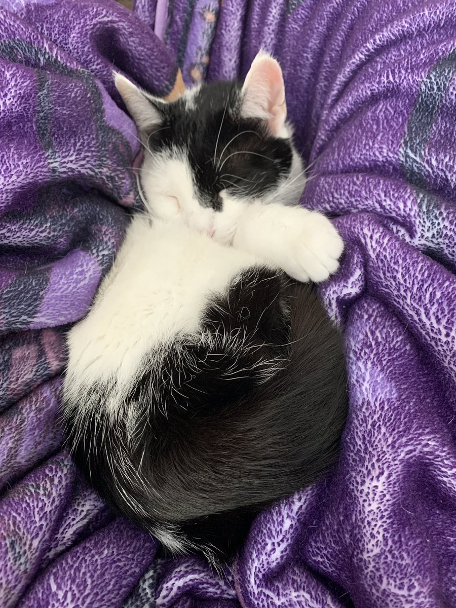 「JYUNKIE」 tweet media