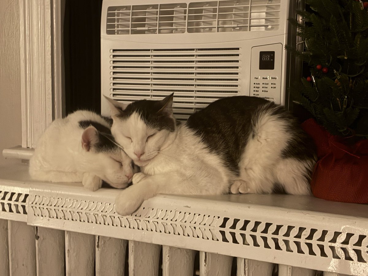 「JYUNKIE」 tweet media