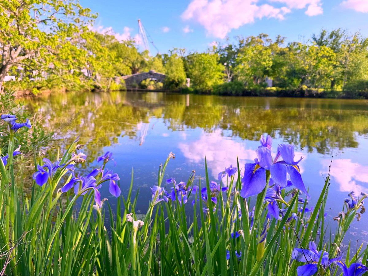 David Nola tweet media