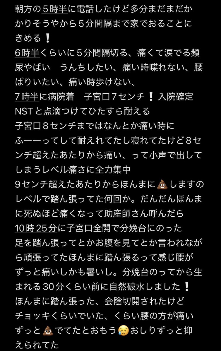 むぎ 0m🦕 tweet media