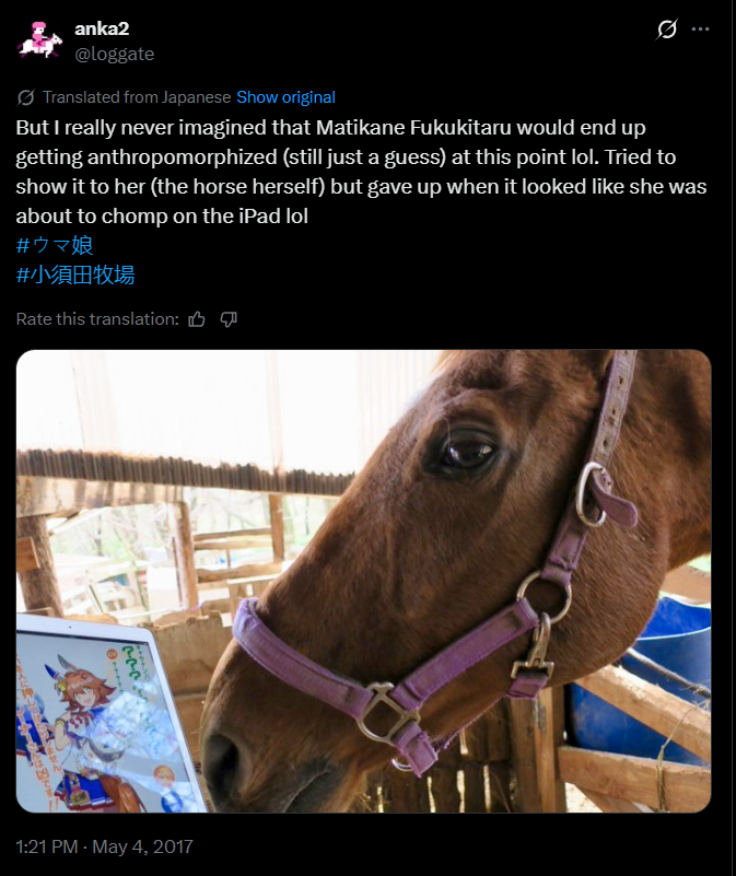 Curiosidades Umamusume tweet media