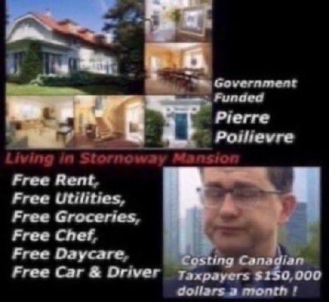 SueConal tweet media