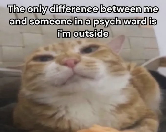 ℍ 𝔸 ℕ ℕ 𝔸 ℍ tweet media