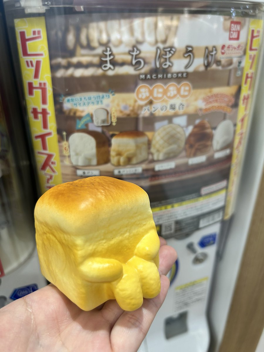 ゆっくんの嫁さ tweet media