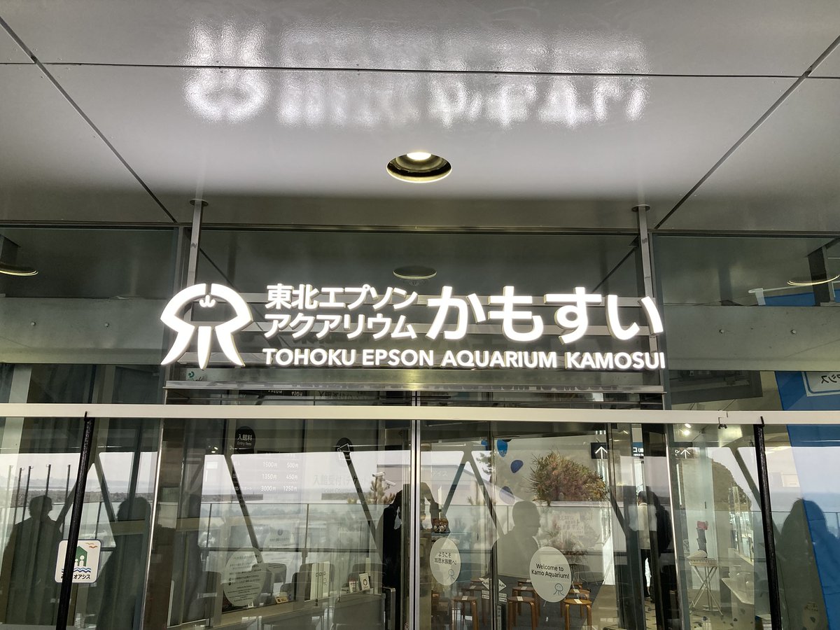 鶴岡市立加茂水族館 tweet media