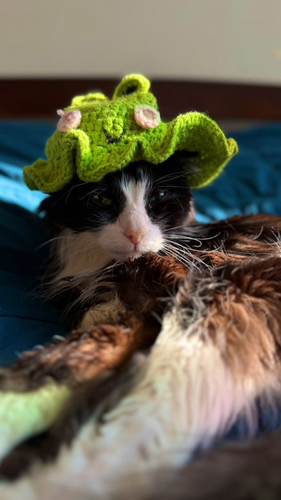 Вера tweet media