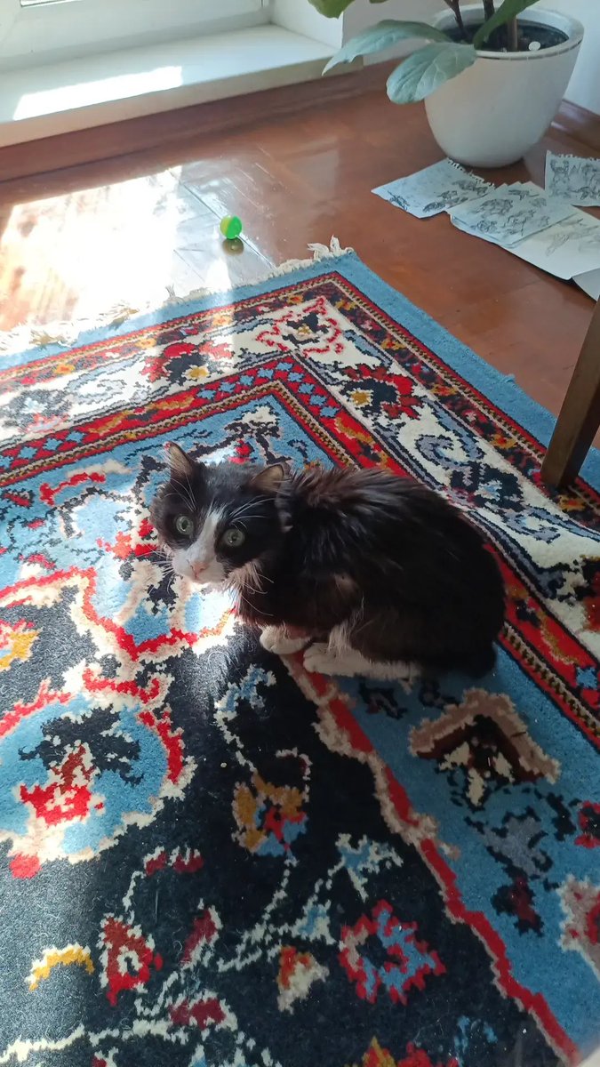 Вера tweet media