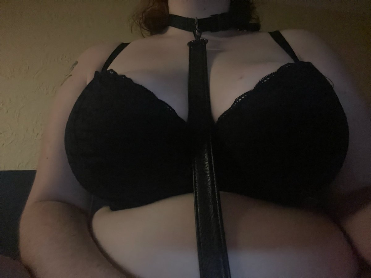 envi ✮ tweet media