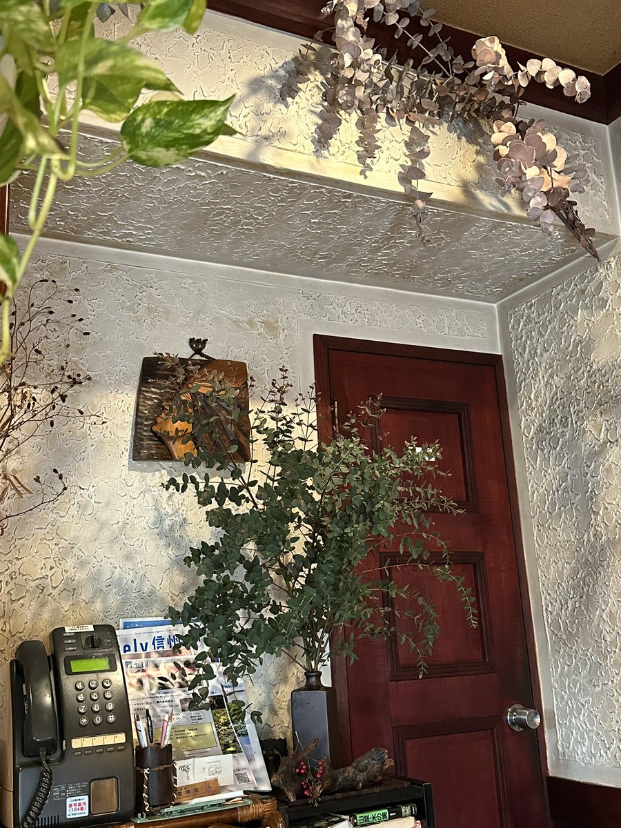 高島陽子 tweet media