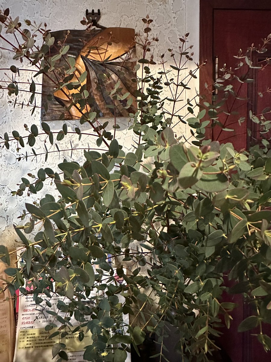 高島陽子 tweet media