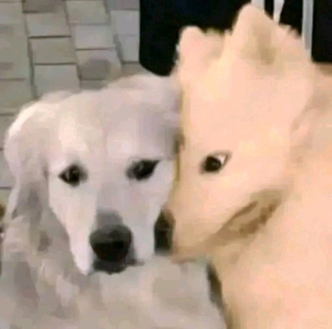 Mawinesa tweet media