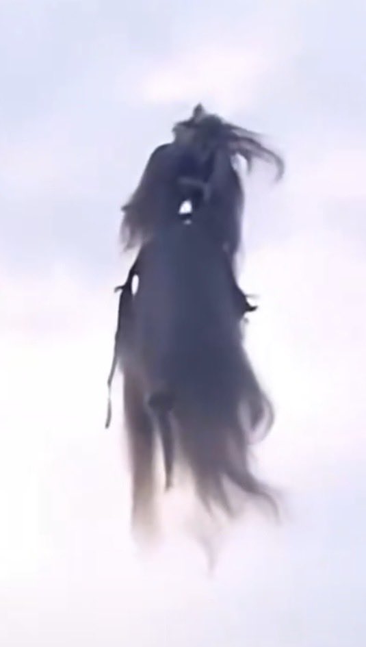 Salty Patriot™️ 🇺🇸 tweet media