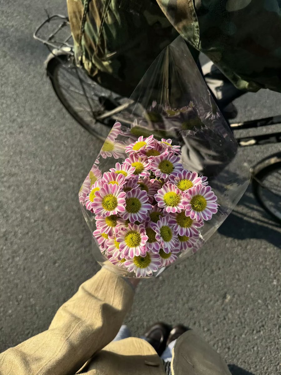 wuxinyuan（互fo）💯FollowBack💯 tweet media