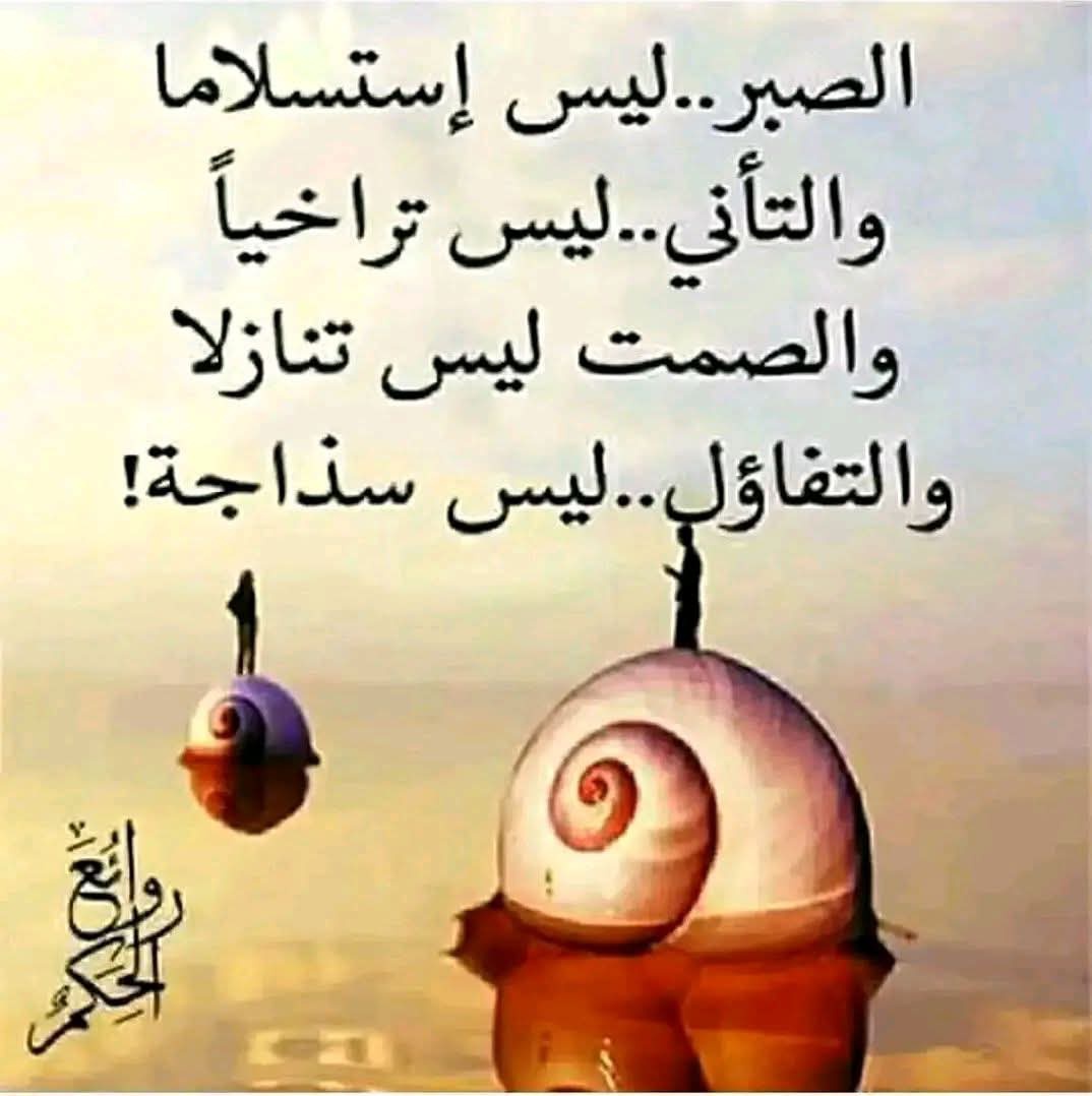 @izzan_art tweet media