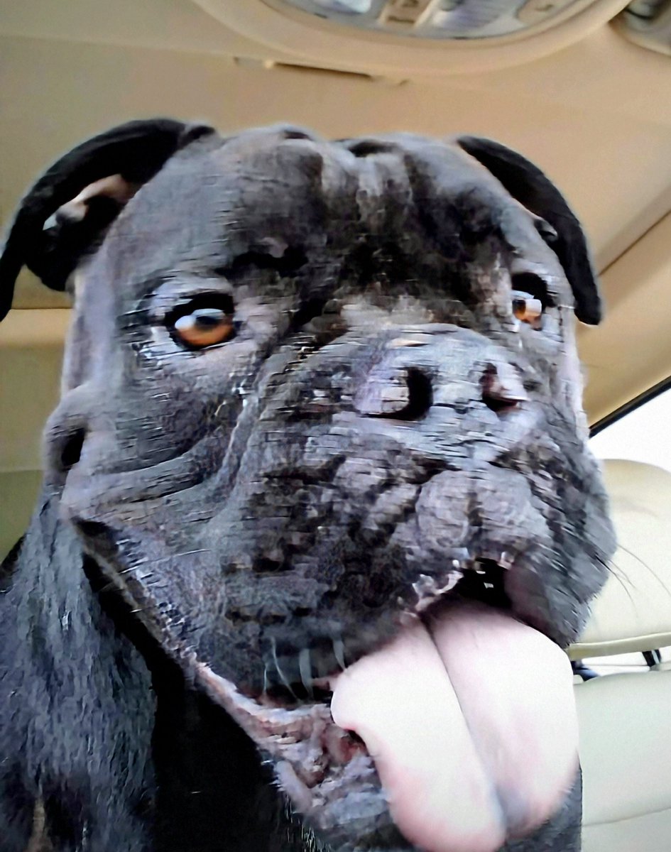 solarface77 tweet media