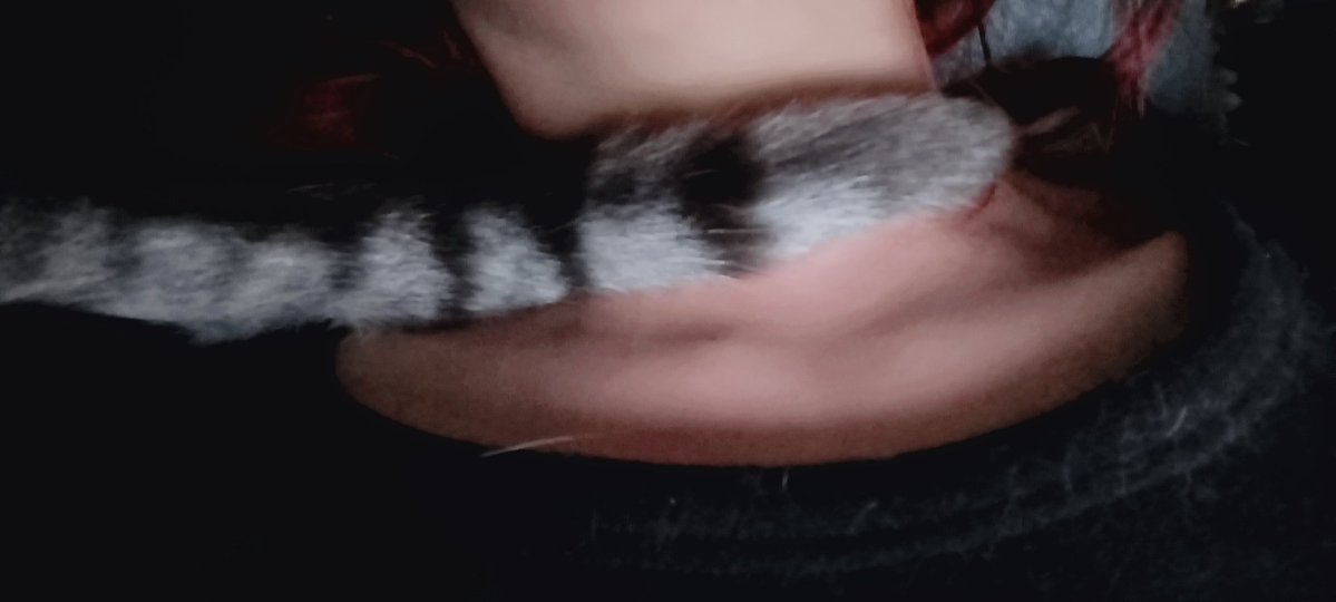 五代蘭 tweet media