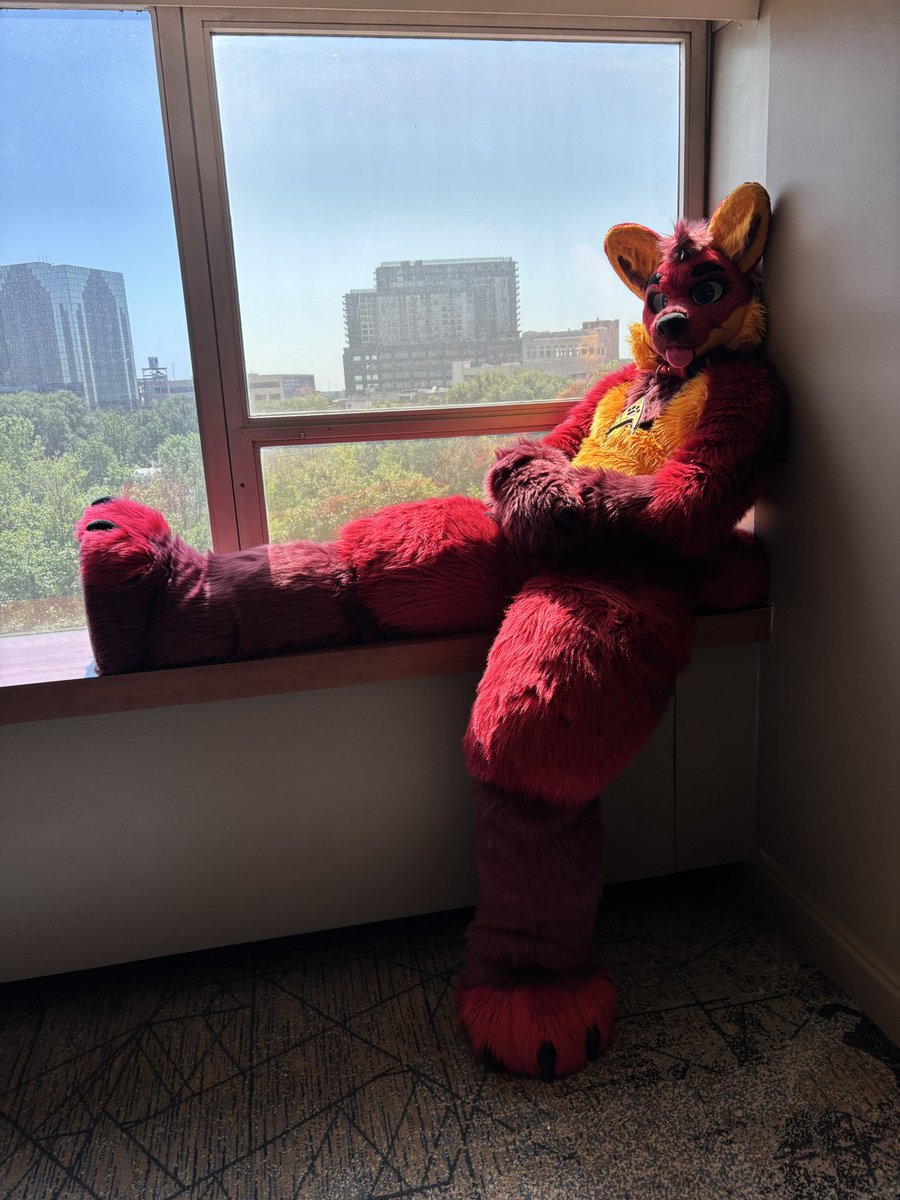 Vger Fox 🔜 TFF2026 tweet media