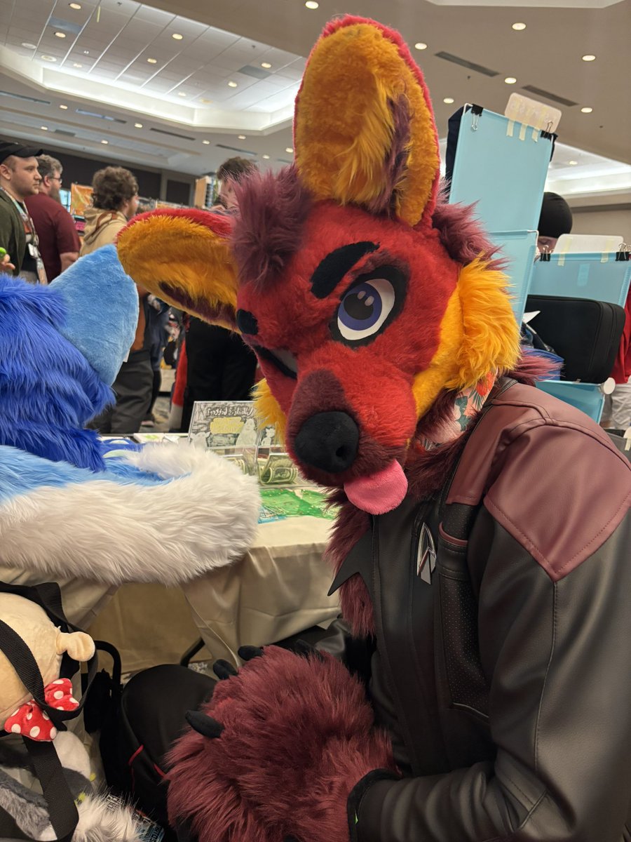 Vger Fox 🔜 TFF2026 tweet media