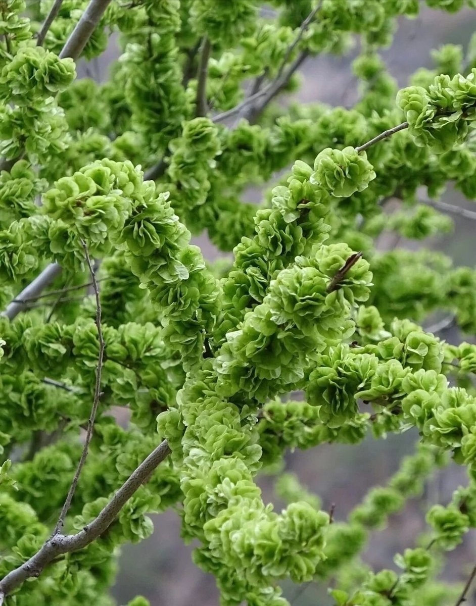 Frog（互 fo） tweet media