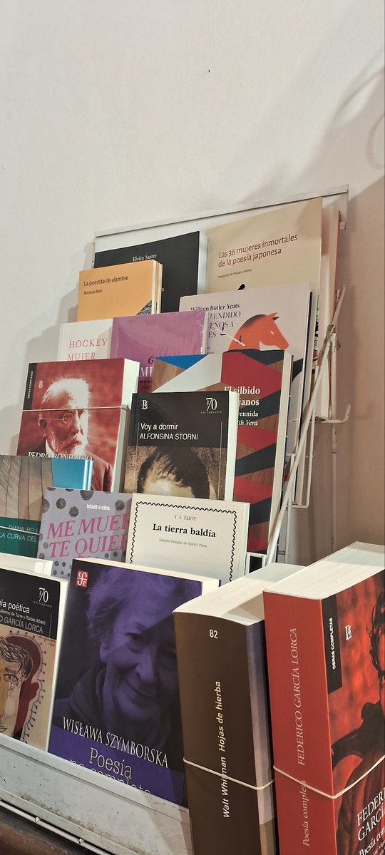 emma studies tweet media