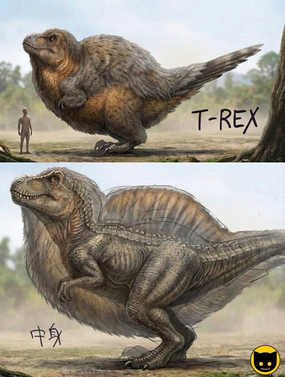 Margaret Meloni🇦🇷🇧🇷🌷 tweet media