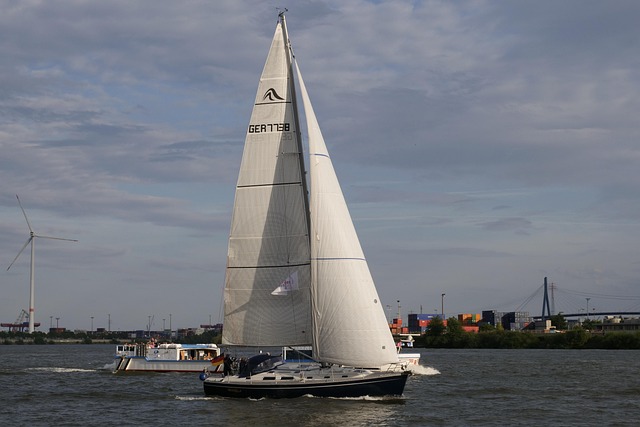 Matini Davis tweet media