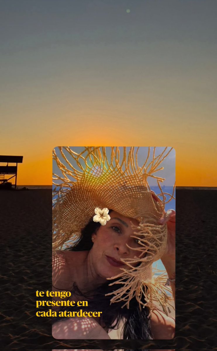 Jared 🦖 tweet media