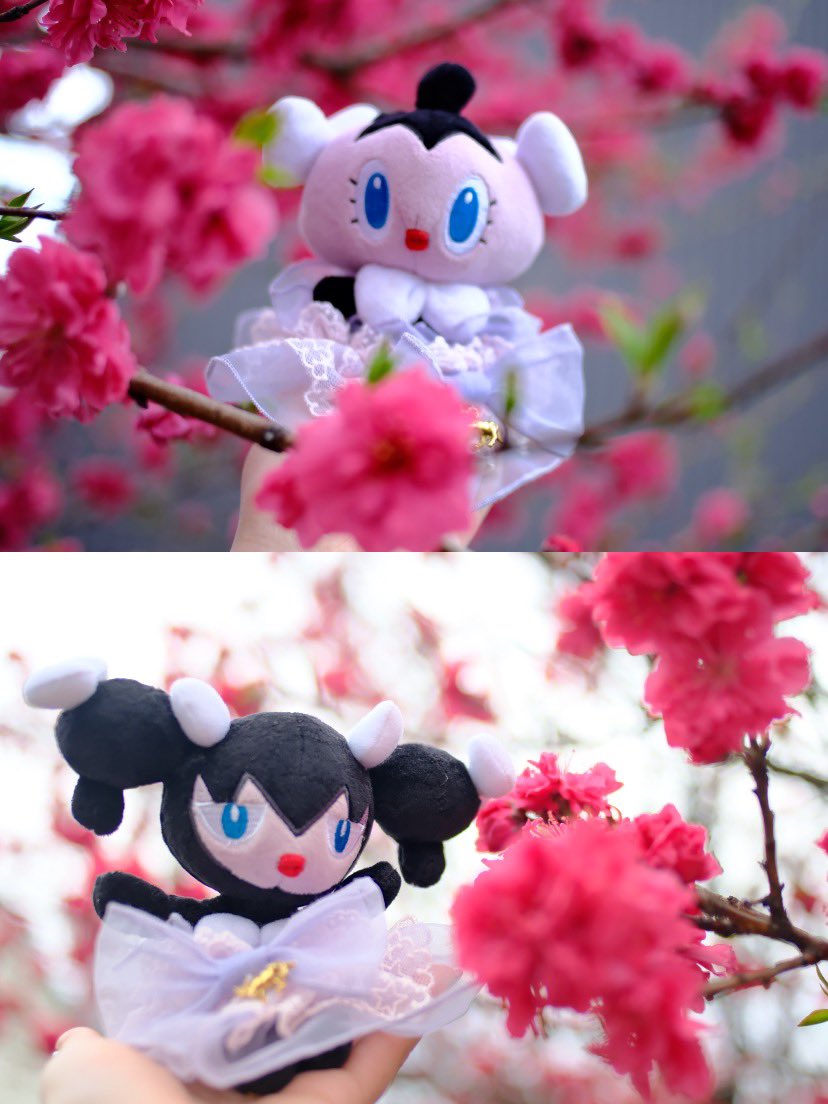 ぴんこす tweet media