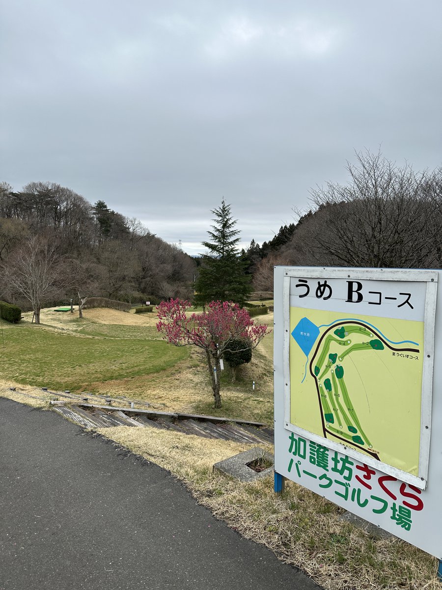 kagobopg's tweet photo. 本日より毎年恒例の加護坊山の「桜の開花情報」を
お知らせします。
４月１日の桜🌸は少し蕾が膨らんできたような・・。
仙台は開花情報がでました。大崎市の満開は？

＃加護坊山　＃桜の開花状況　＃宮城県　＃桜名所　
＃パークゴルフ　＃健康増進　＃運動 https://t.co/CHY1bU426j