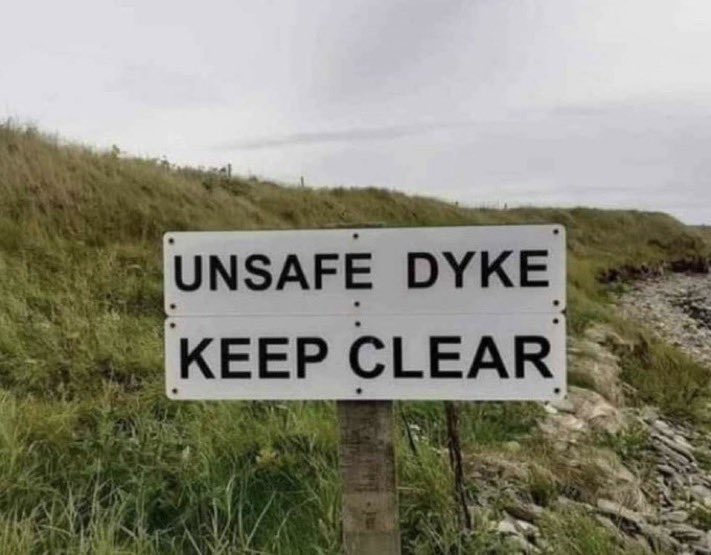 gabi 🫧 tweet media