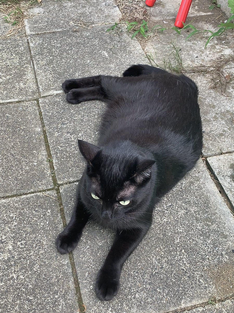 あおいまなぶ@せんアカ_カ3132 tweet media