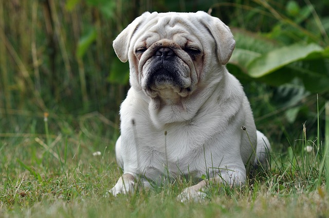 Reggie Vargo tweet media