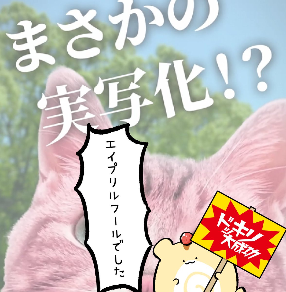 ねこもどき tweet media