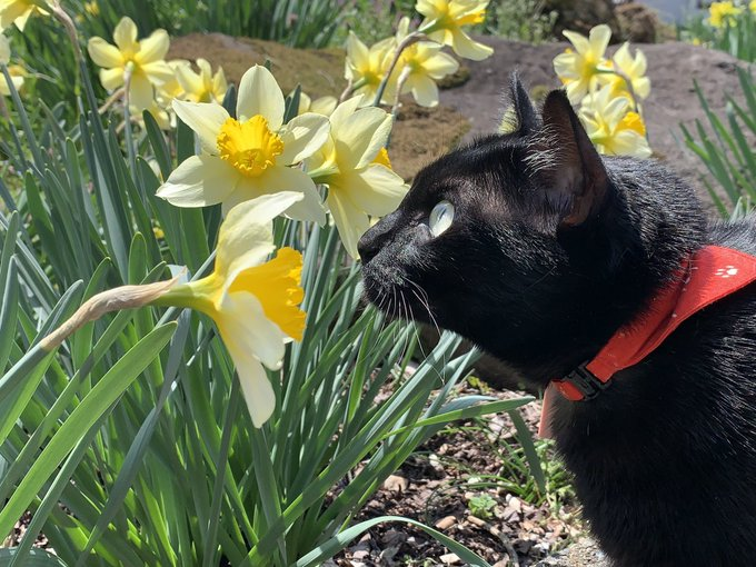 あおいまなぶ@せんアカ_カ3132 tweet media