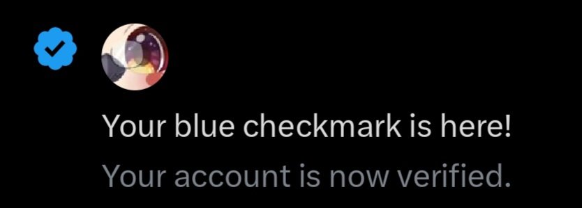 BirdieOtaku (HATCHING SOON) 🐣 tweet media