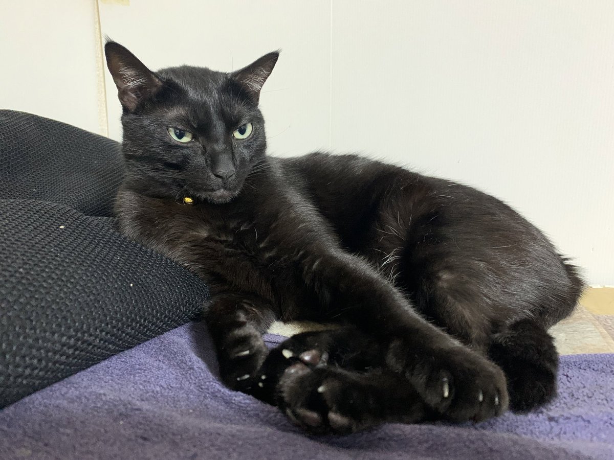 あおいまなぶ@せんアカ_カ3132 tweet media