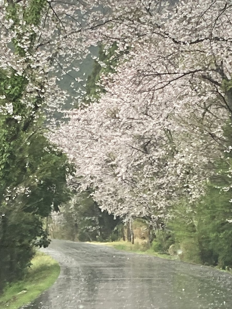 ちぃ@🩵💚 tweet media