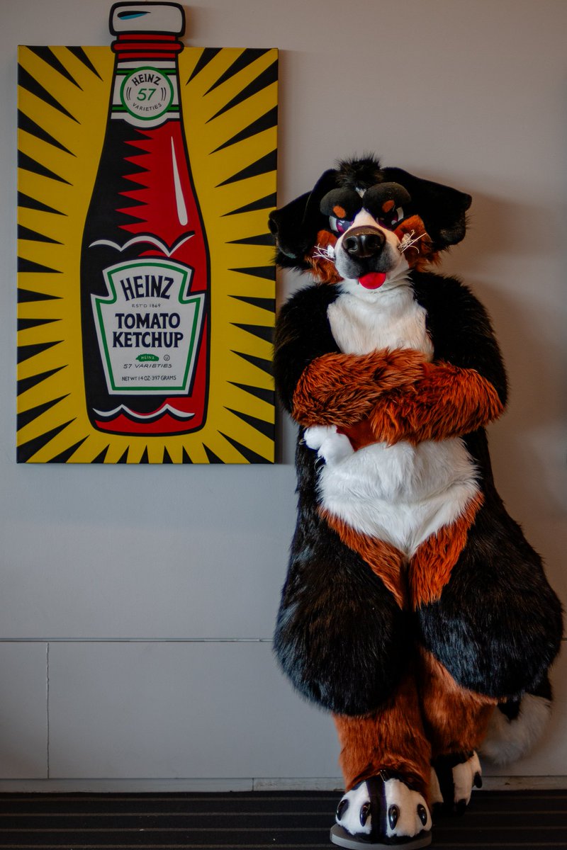 Ascari Husky @FurDu/FWA/AO/AC tweet media