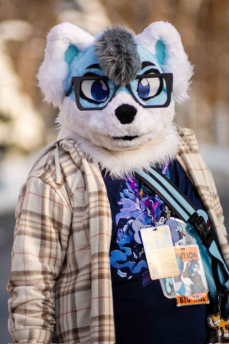 Ascari Husky @FurDu/FWA/AO/AC tweet media