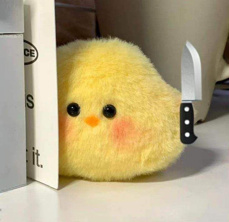 Lulu🫧 working on cmms tweet media