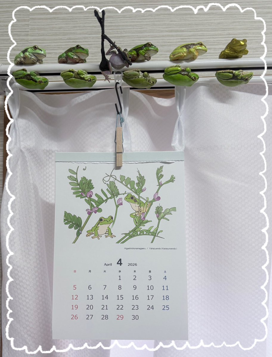 zephyr229 tweet media