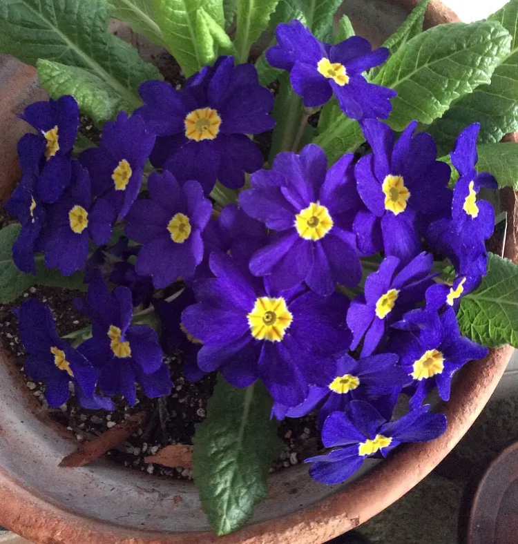 Nina Tomlinson tweet media