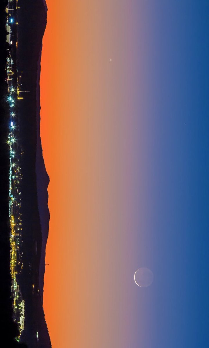 MOON LOVER tweet media