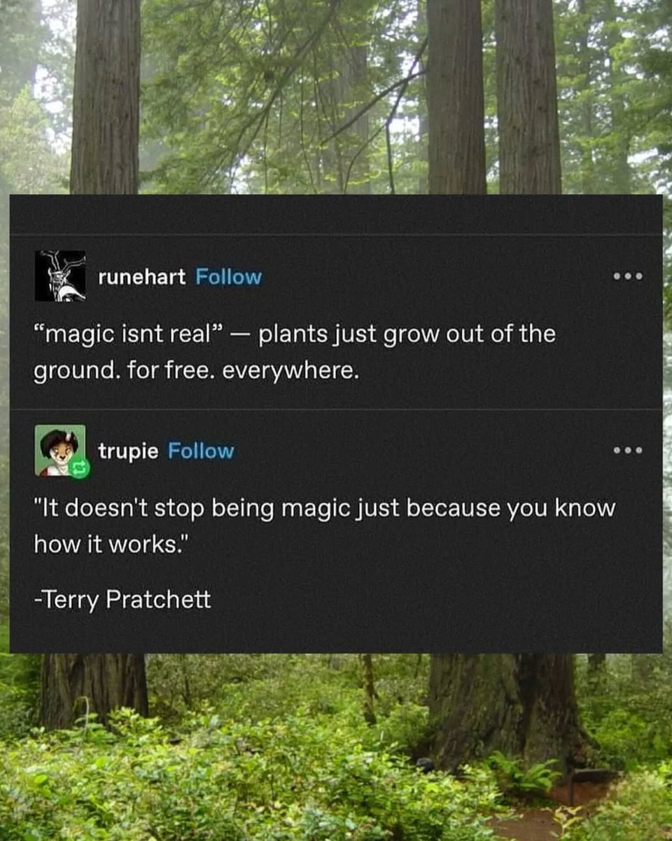 6arelyhuman tweet media