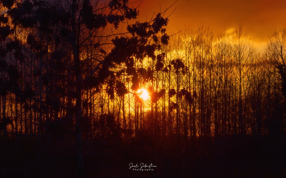 Valgone_photo's tweet image. Les rideaux radieux. The radiant curtains.
#sunsetphotography #photograIsArt
