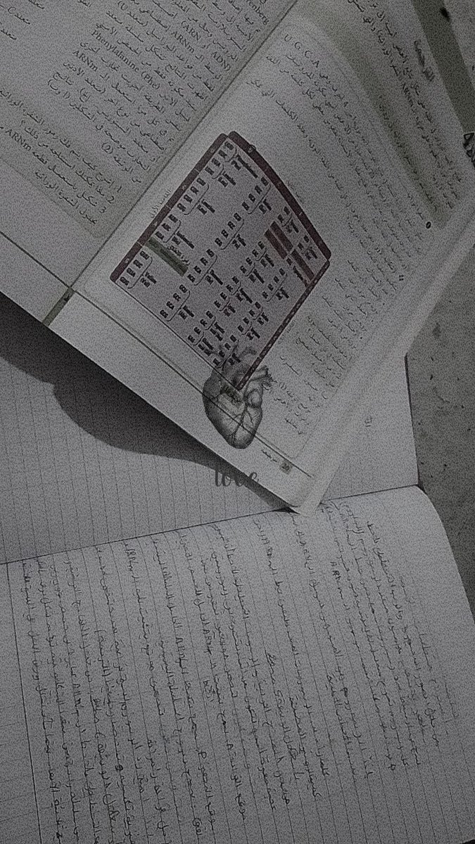 ꧁༺ 𝕨𝕖𝕚 ༻꧂ tweet media