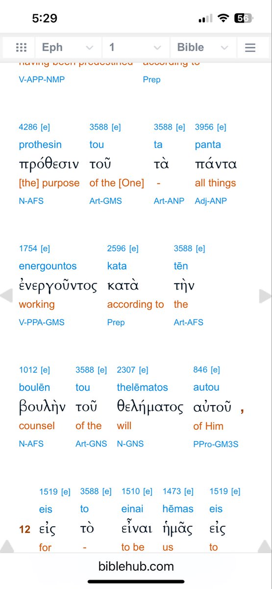 Random Bearded Guy tweet media